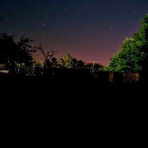 Meet your Posher, Annabelle